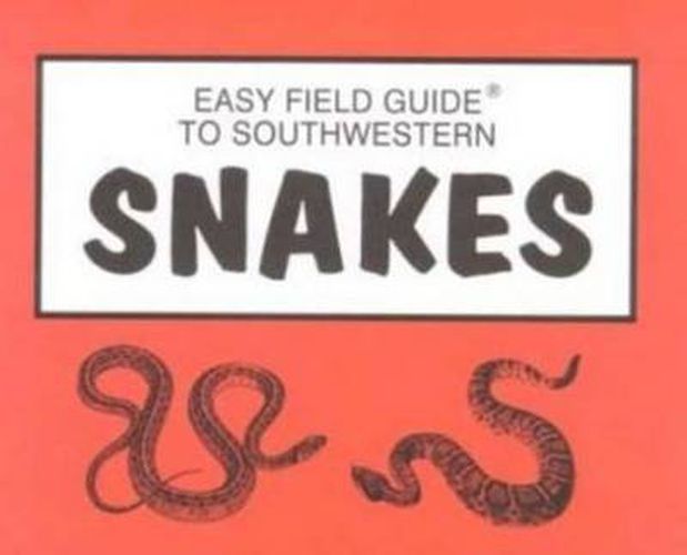 Cover image for Easy Field Guide to Southwestern Snakes