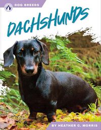 Cover image for Dog Breeds: Dachshunds