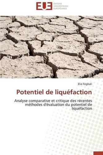 Cover image for Potentiel de Liqu faction