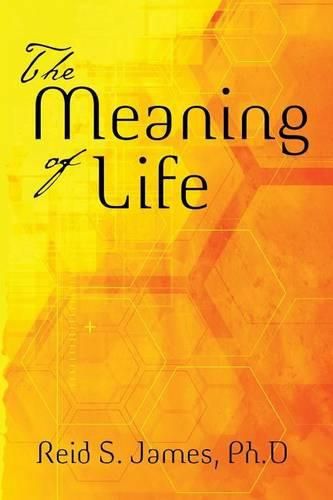 Cover image for The Meaning of Life