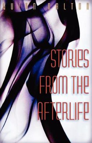 Cover image for Stories from the Afterlife