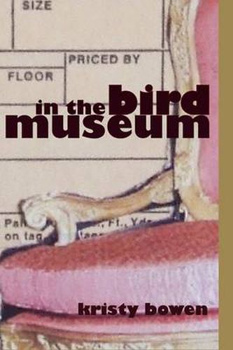 Cover image for In the Bird Museum