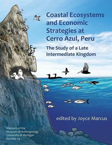 Cover image for Coastal Ecosystems and Economic Strategies at Cerro Azul, Peru: The Study of a Late Intermediate Kingdom