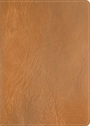 Cover image for CSB He Reads Truth Bible, Holman Handcrafted Collection, Saddle Brown Premium Calfskin