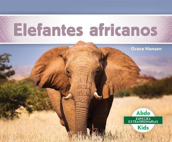 Cover image for Elefantes Africanos / African Elephants