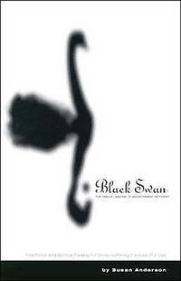 Cover image for Black Swan: The Twelve Lessons of Abandonment Recovery