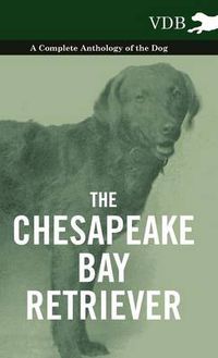 Cover image for The Chesapeake Bay Retriever - A Complete Anthology of the Dog -