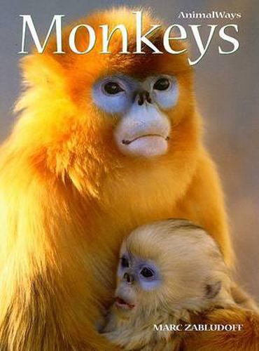 Cover image for Monkeys
