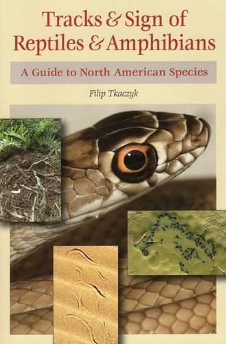 Cover image for Tracks & Sign of Reptiles & Amphibians: A Guide to North American Species