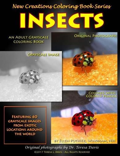 Cover image for New Creations Coloring Book Series: Insects
