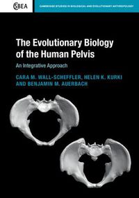 Cover image for The Evolutionary Biology of the Human Pelvis: An Integrative Approach