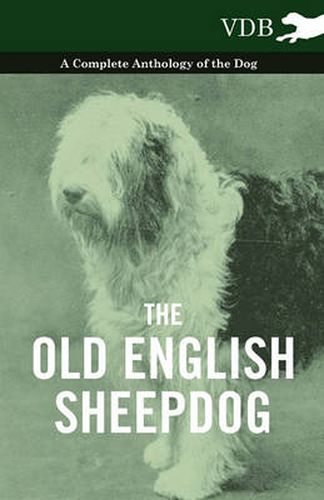 Cover image for The Old English SheepDog A Complete Anthology of the Dog