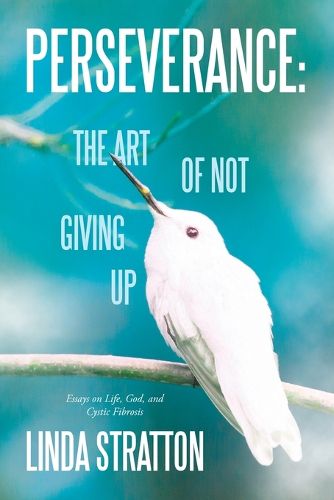 Cover image for Perseverance