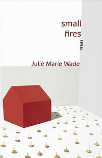 Cover image for Small Fires: Essays