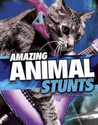 Cover image for Amazing Animal Stunts