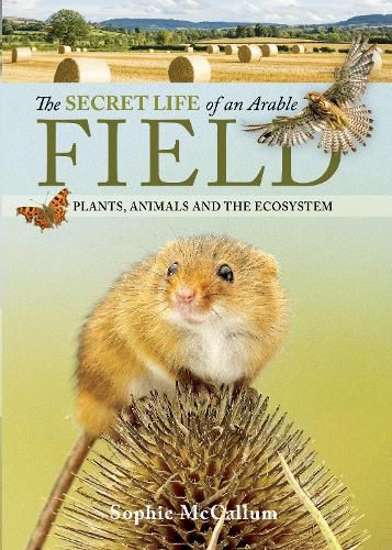 Cover image for The Secret Life of an Arable Field: Plants, Animals and the Ecosystem