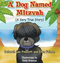 Cover image for Mitzvah