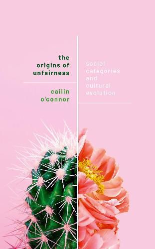 Cover image for The Origins of Unfairness: Social Categories and Cultural Evolution