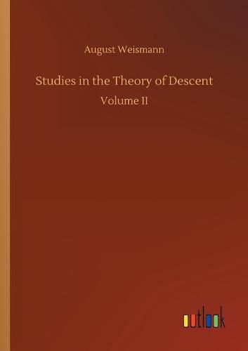 Studies in the Theory of Descent