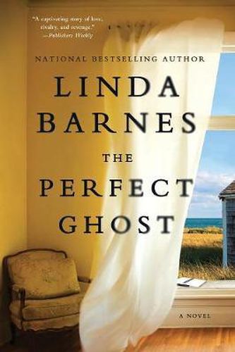 Cover image for Perfect Ghost