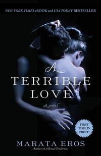 Cover image for A Terrible Love
