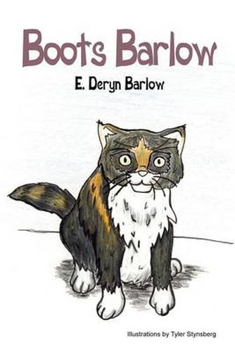 Cover image for Boots Barlow