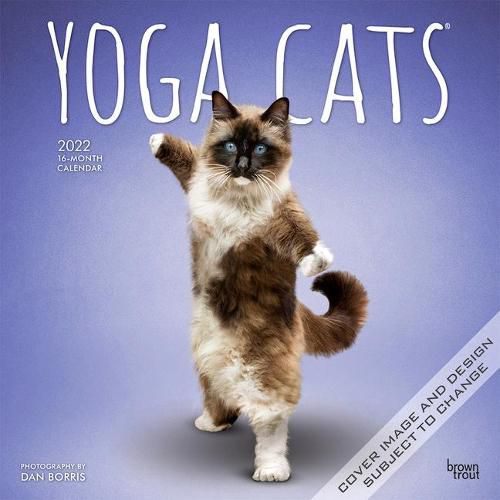Cover image for Yoga Cats 2022 Square