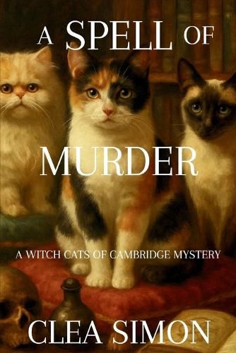 Cover image for A Spell of Murder