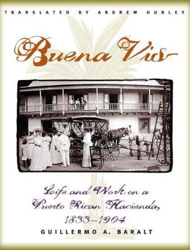 Cover image for Buena Vista: Life and Work on a Puerto Rican Hacienda, 1833-1904