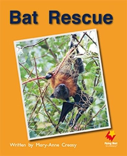 Cover image for Bat Rescue