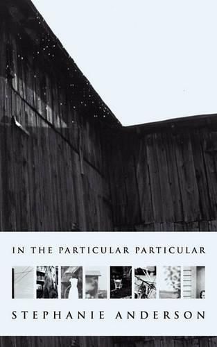 Cover image for In the Particular Particular