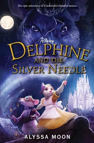Cover image for Delphine and the Silver Needle