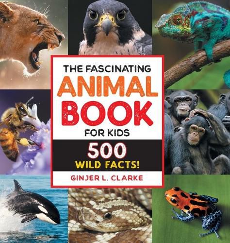 Cover image for The Fascinating Animal Book for Kids: 500 Wild Facts!