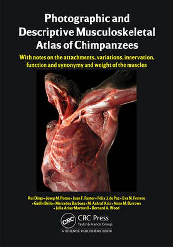 Cover image for Photographic and Descriptive Musculoskeletal Atlas of Chimpanzees: With Notes on the Attachments, Variations, Innervation, Function and Synonymy and Weight of the Muscles