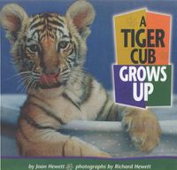 Cover image for A Tiger Cub Grows Up