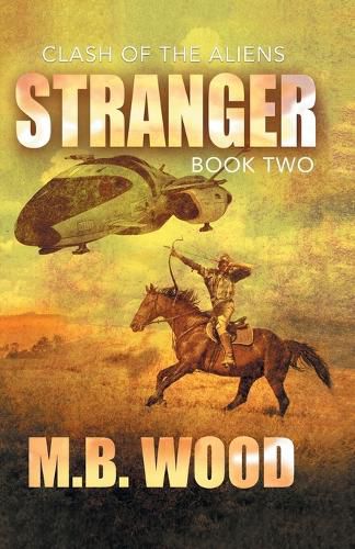 Cover image for Stranger