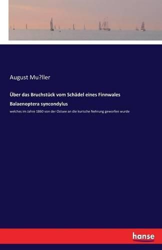 UEber das Bruchstuck vom Schadel eines Finnwales Balaenoptera syncondylus: welches im Jahre 1860 von der Ostsee an die kurische Nehrung geworfen wurde