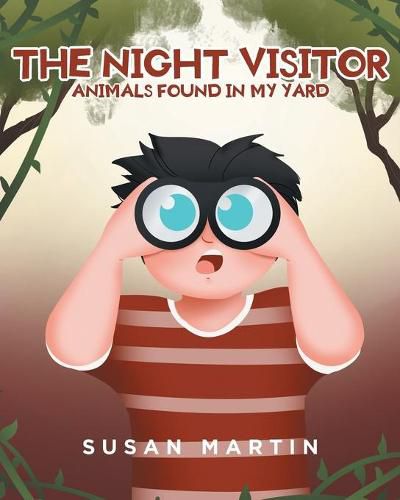 Cover image for The Night Visitor