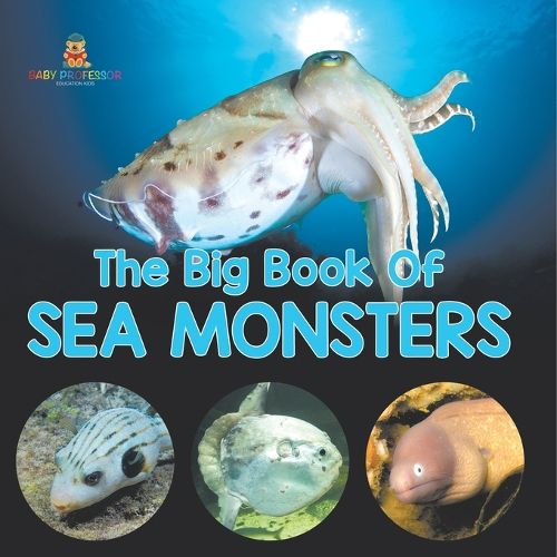 Cover image for The Big Book Of Sea Monsters (Scary Looking Sea Animals)