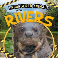 Cover image for In the Rivers