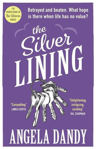 Cover image for The Silver Lining