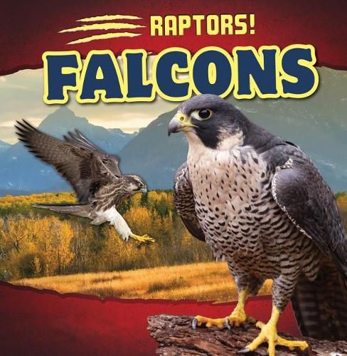 Falcons