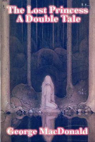 Cover image for The Lost Princess: A Double Tale
