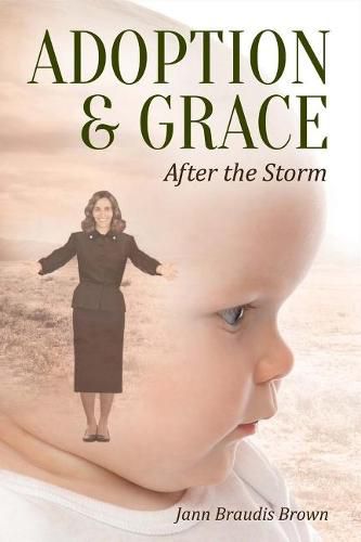 Cover image for Adoption & Grace: After the Stormvolume 1