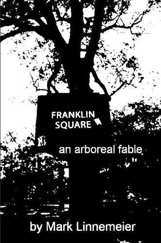 Cover image for Franklin Square