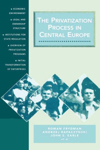 Cover image for The Privatization Process in Central Europe