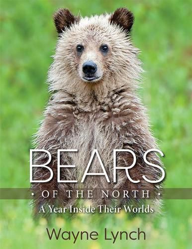 Cover image for Bears of the North: A Year Inside Their Worlds