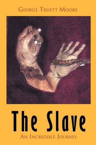 Cover image for The Slave: An Incredible Journey