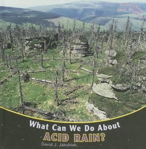 What Can We Do about Acid Rain?