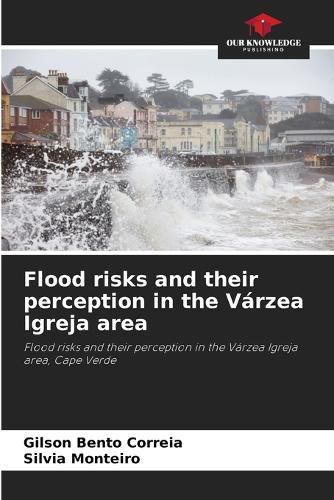 Cover image for Flood risks and their perception in the Varzea Igreja area